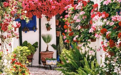 Córdoba en otoño