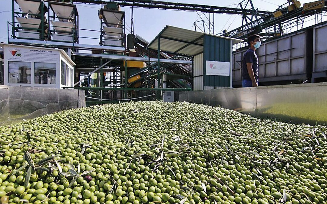 Nuevo récord histórico de las exportaciones cordobesas con 2.551 millones en el 2021