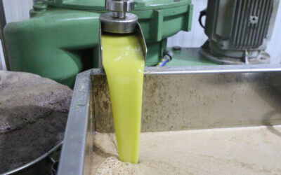 Córdoba incrementó un 26% sus exportaciones en enero y sumó 212 millones en ventas