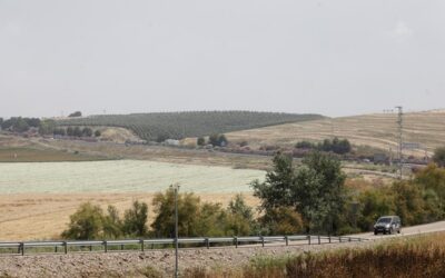 El sector anexo a la Base Logística de Córdoba generará una inversión directa de 55 millones