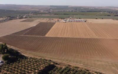 Córdoba tiene medio millón de metros de suelo para atraer inversión empresarial