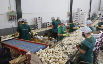 Córdoba registra más de 800 nuevas empresas en los primeros ocho meses del año, 10% más que en 2022