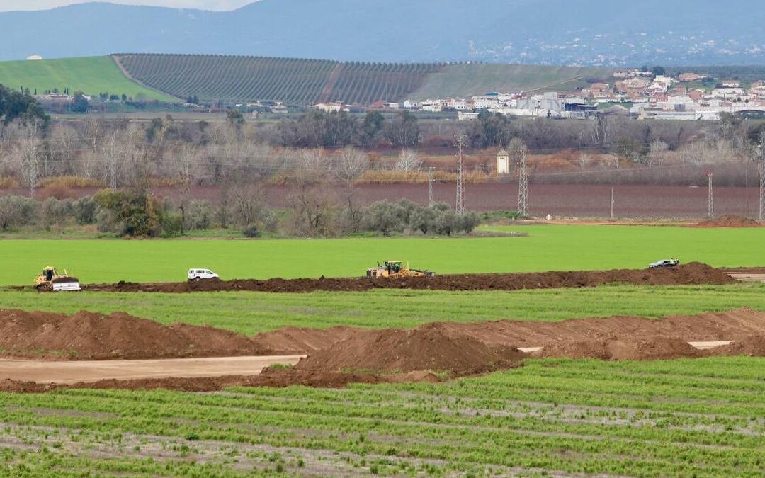 Nuevo paso para la urbanización de todos los terrenos de La Rinconada