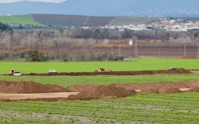 Nuevo paso para la urbanización de todos los terrenos de La Rinconada